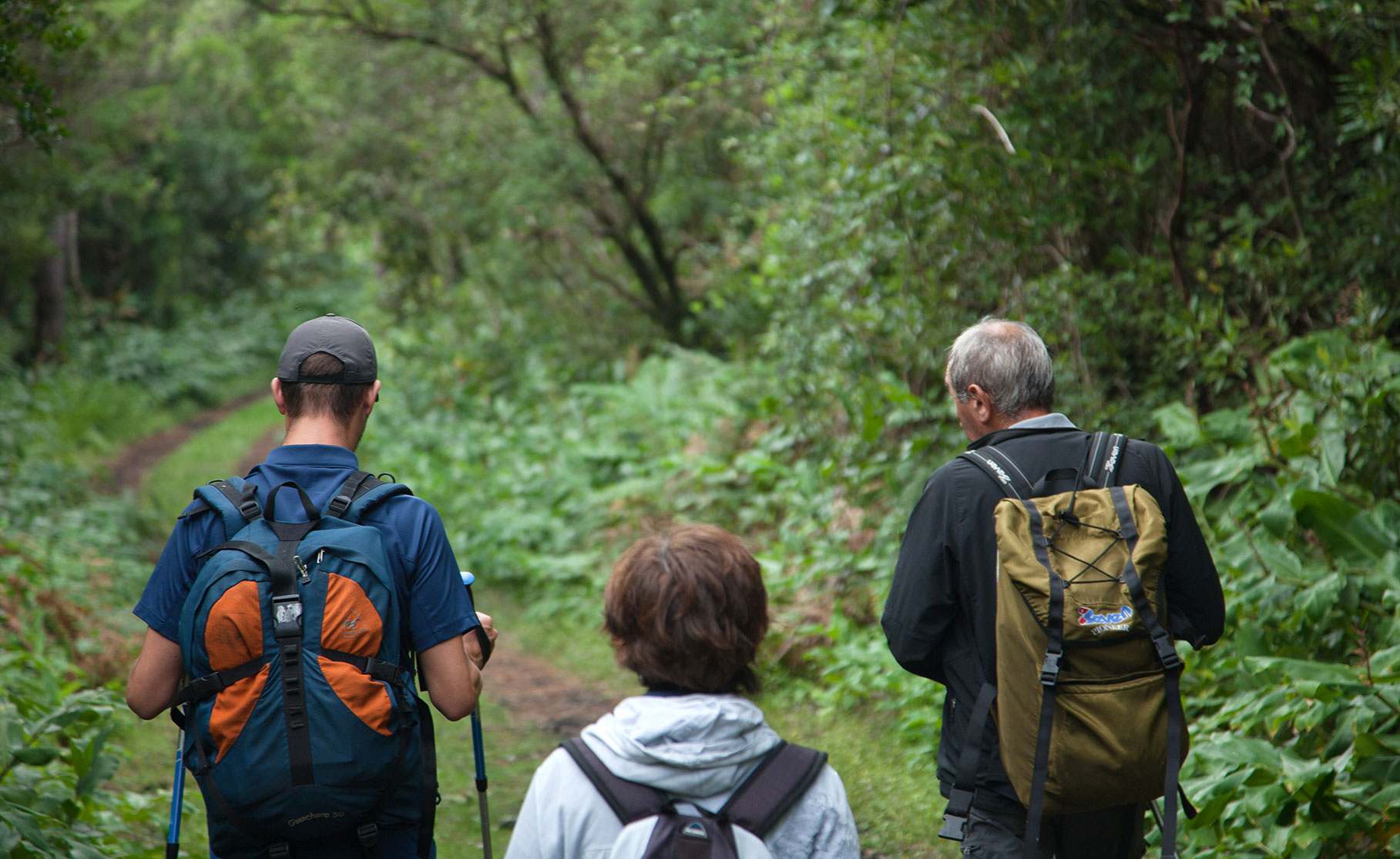 people in the nature