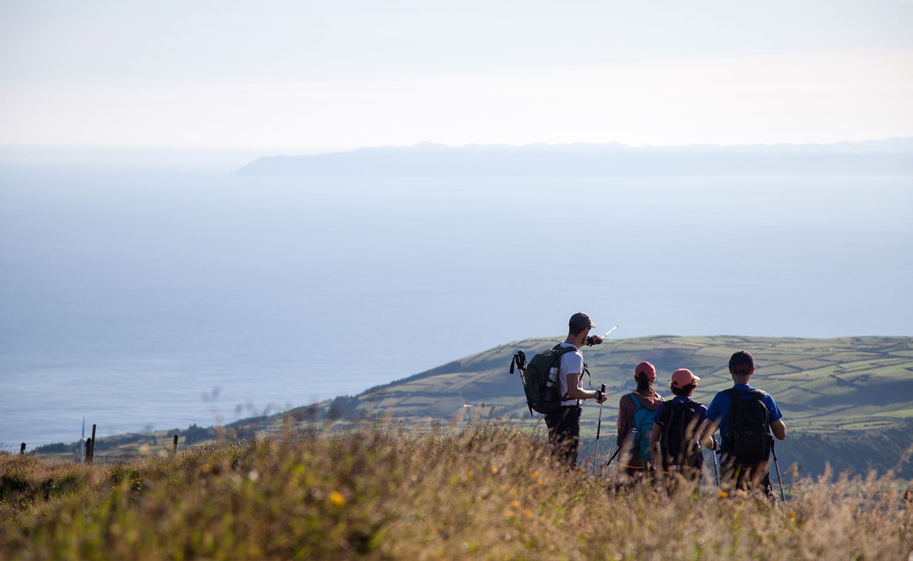 a professional guide