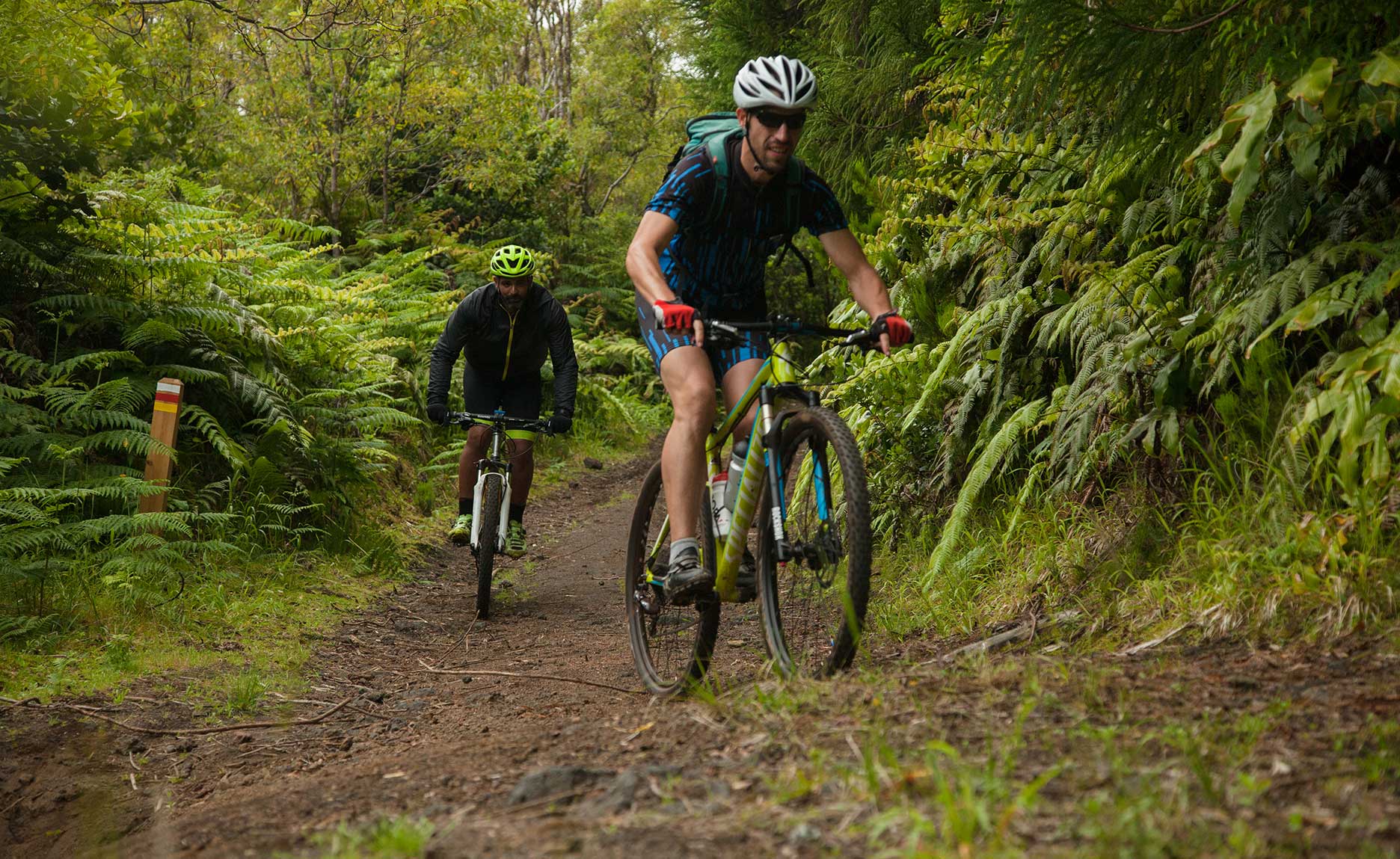 two men on a bicycle