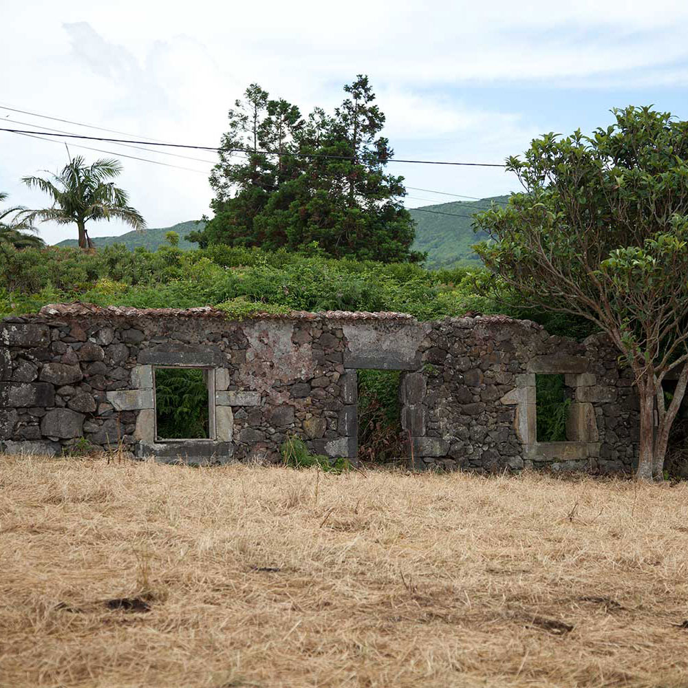 Azorean Roots tour is about your origins.