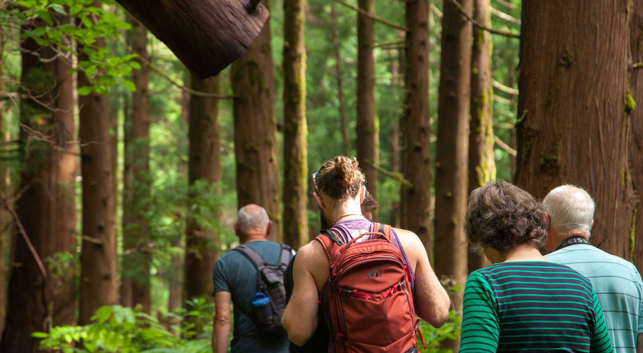 people walking in the jungle