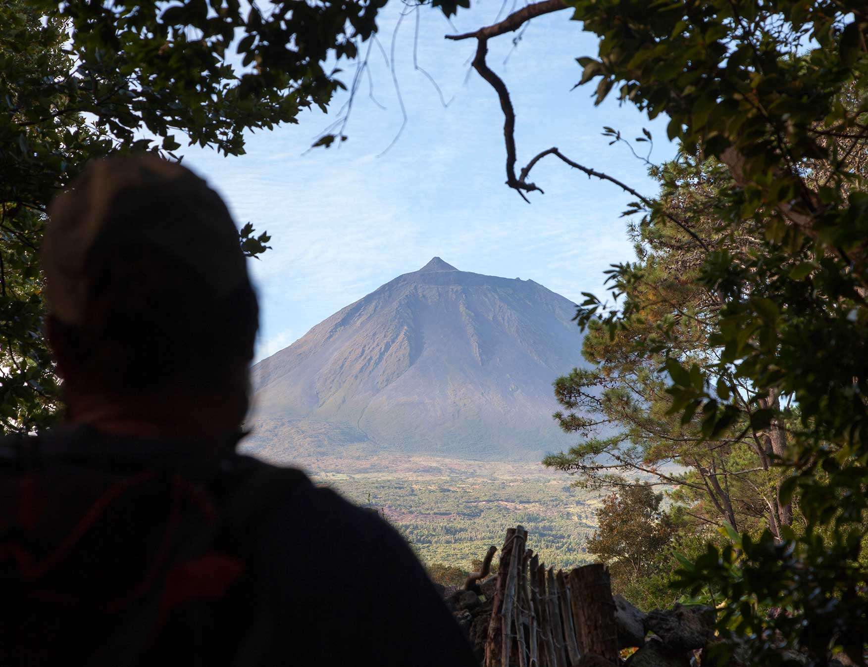 Lajido Vineyards trail in Pico island