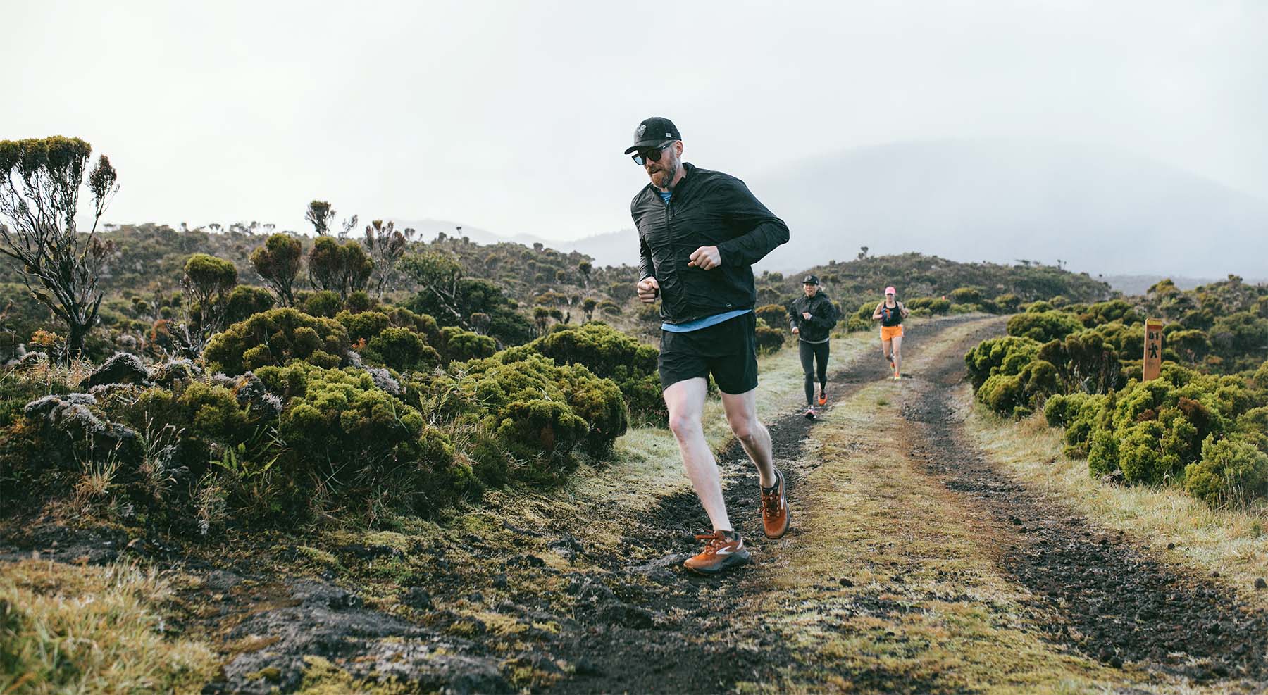 Trail Running in Pico