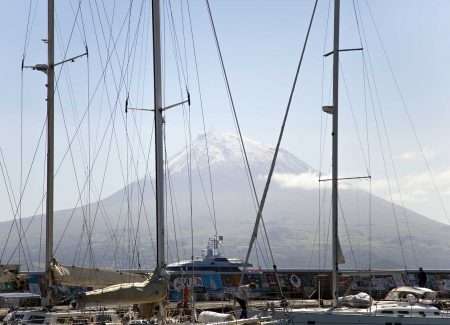 boats in marina of horta