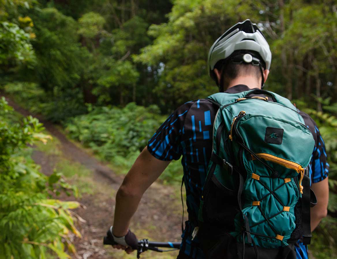 Mountain bike tour in Pico