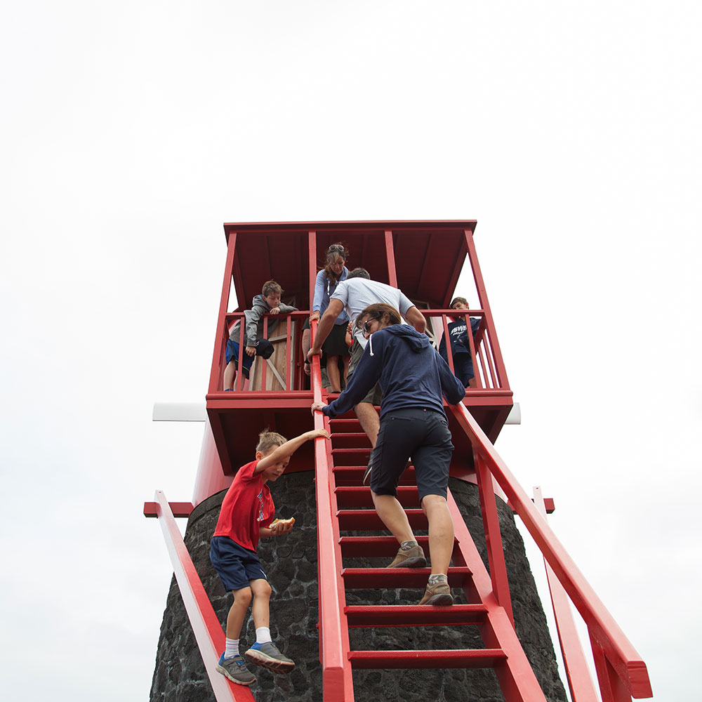 banana trip in pico island
