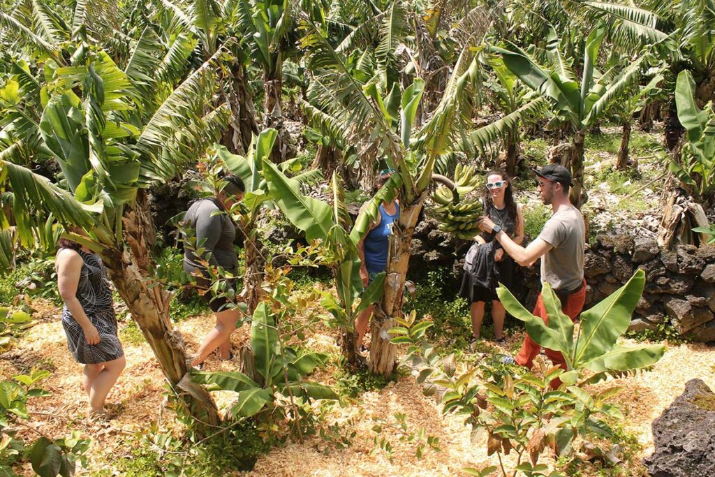 trail running with mirna valerio